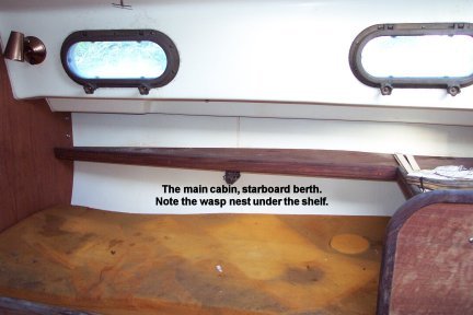 Starboard Berth